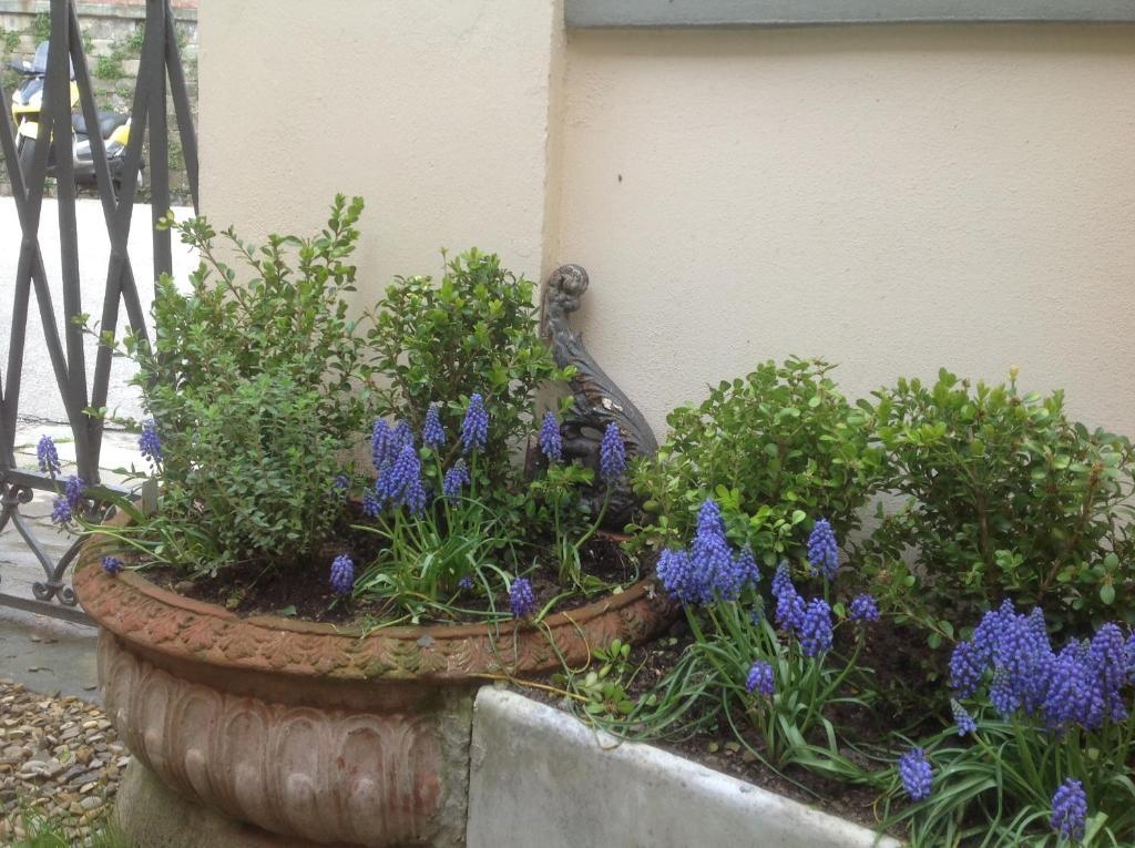 Al Giardino Delle Rose Hotel Florence Buitenkant foto